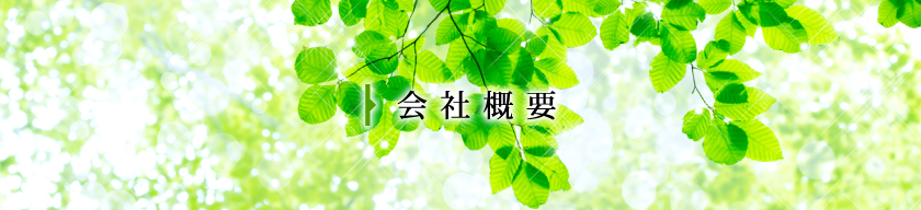 会社概要｜株式会社イー・ニーズ